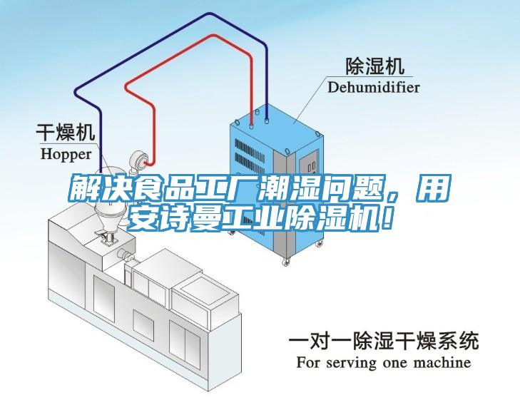 解決食品工廠潮濕問題，用安詩曼工業(yè)除濕機(jī)！