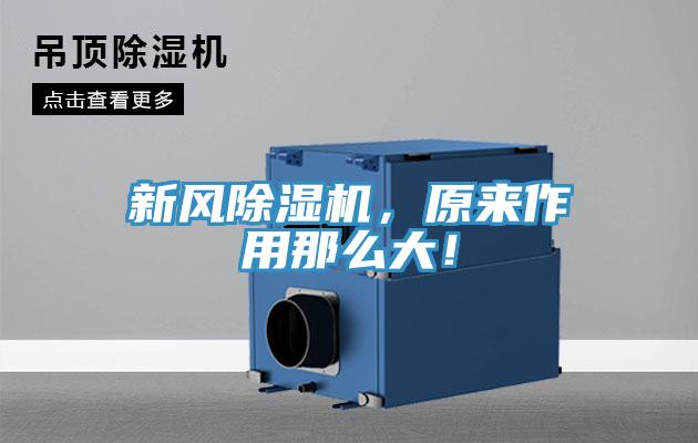 新風(fēng)除濕機(jī)，原來作用那么大！