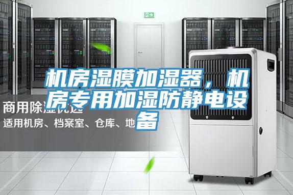 機(jī)房濕膜加濕器，機(jī)房專用加濕防靜電設(shè)備