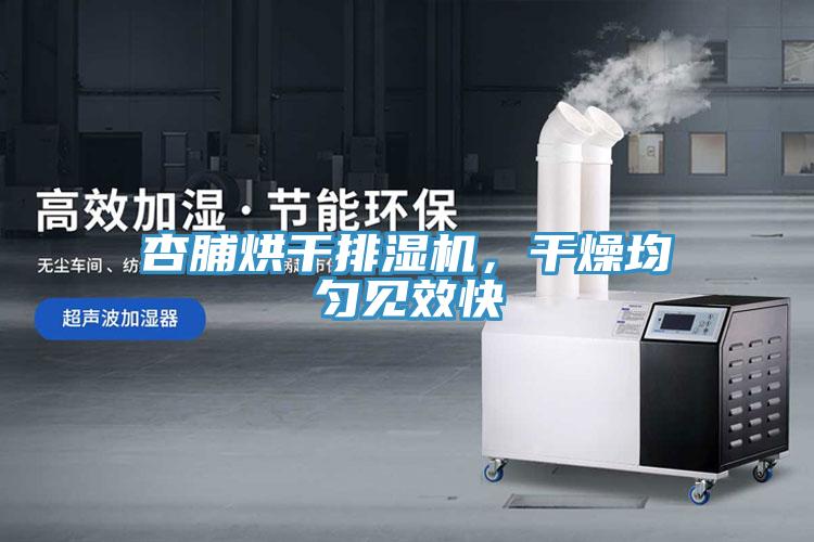 杏脯烘干排濕機(jī)，干燥均勻見效快