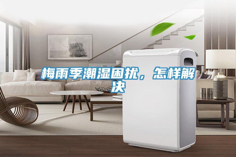 梅雨季潮濕困擾，怎樣解決