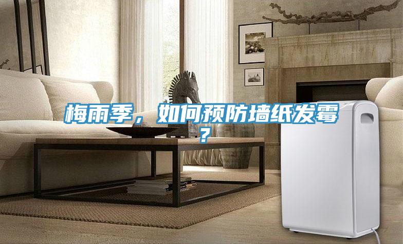 梅雨季，如何預(yù)防墻紙發(fā)霉？