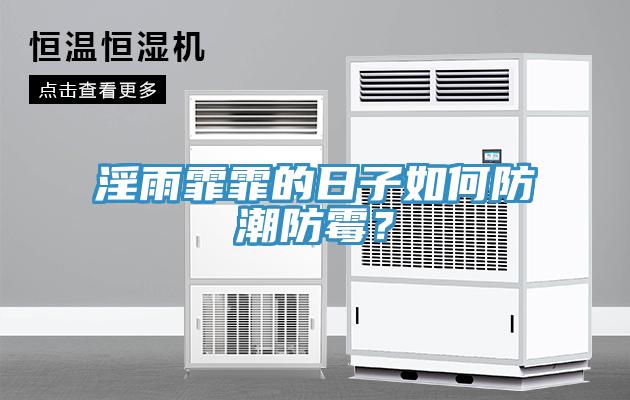 淫雨霏霏的日子如何防潮防霉？