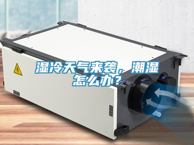 濕冷天氣來(lái)襲，潮濕怎么辦？