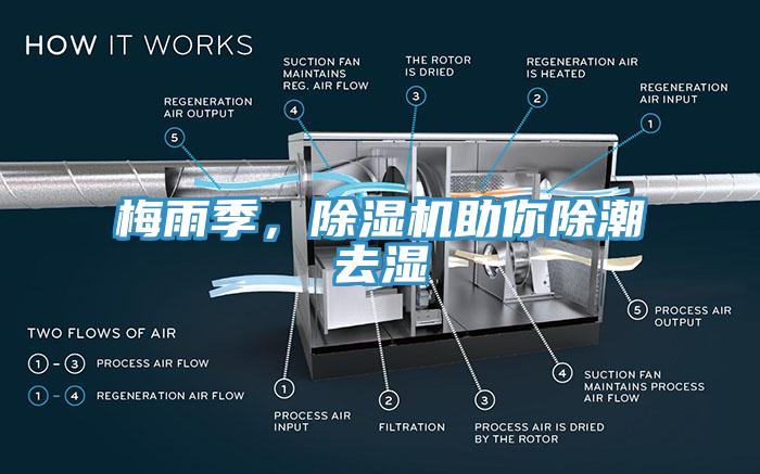 梅雨季，除濕機助你除潮去濕
