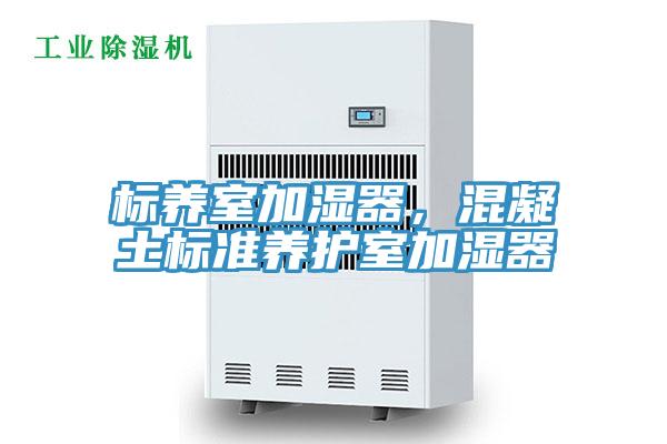 標(biāo)養(yǎng)室加濕器，混凝土標(biāo)準(zhǔn)養(yǎng)護(hù)室加濕器