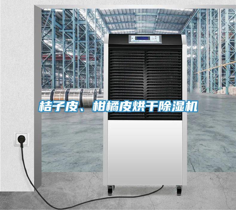 桔子皮、柑橘皮烘干除濕機(jī)