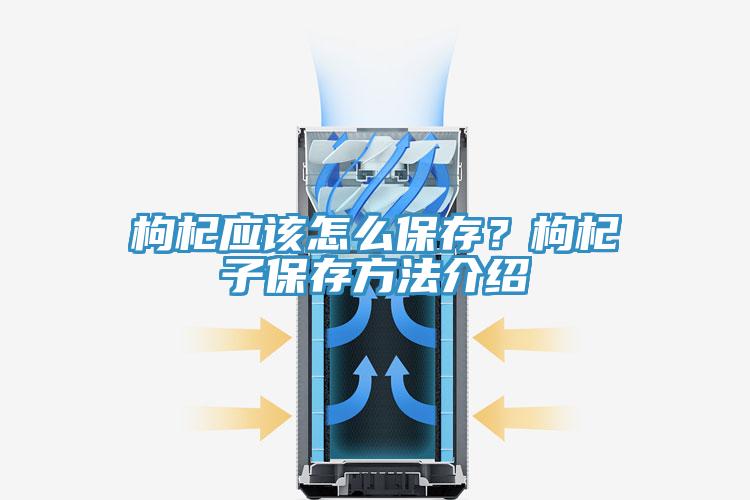 枸杞應(yīng)該怎么保存？枸杞子保存方法介紹