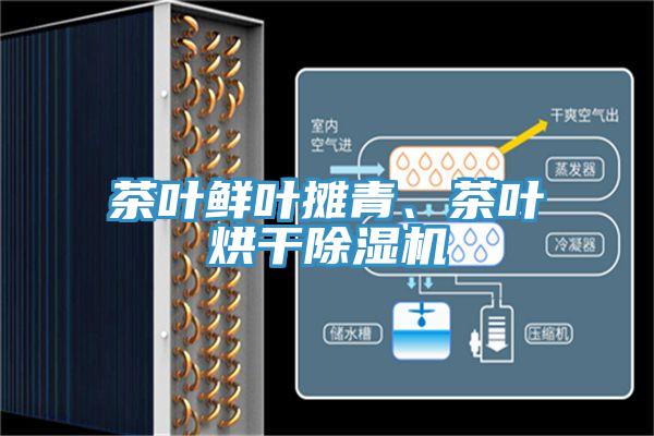 茶葉鮮葉攤青、茶葉烘干除濕機(jī)