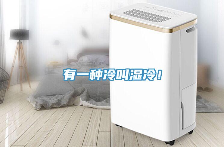 有一種冷叫濕冷！
