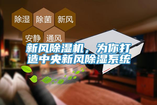 新風除濕機，為你打造中央新風除濕系統(tǒng)
