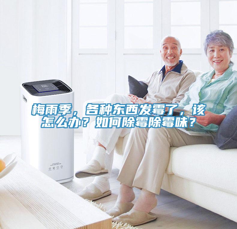 梅雨季，各種東西發(fā)霉了，該怎么辦？如何除霉除霉味？