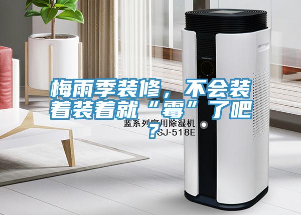 梅雨季裝修，不會裝著裝著就“霉”了吧？
