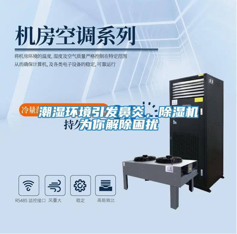 潮濕環(huán)境引發(fā)鼻炎，除濕機(jī)為你解除困擾