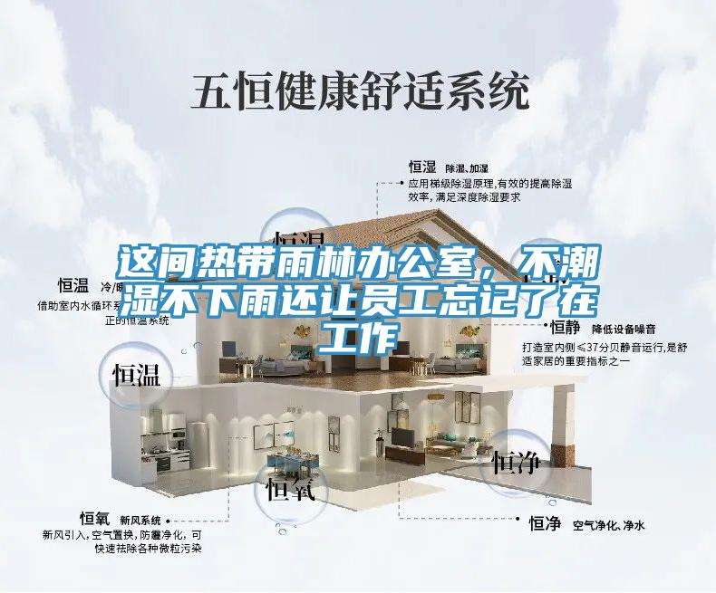 這間熱帶雨林辦公室，不潮濕不下雨還讓員工忘記了在工作