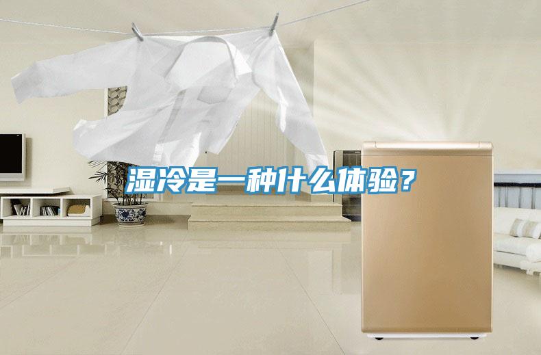 濕冷是一種什么體驗(yàn)？
