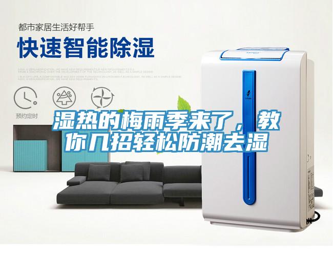 濕熱的梅雨季來了，教你幾招輕松防潮去濕