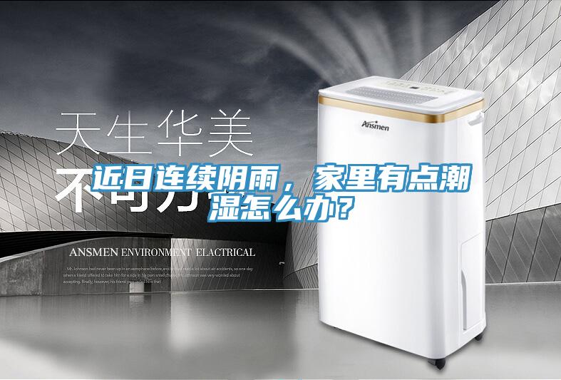 近日連續(xù)陰雨，家里有點潮濕怎么辦？