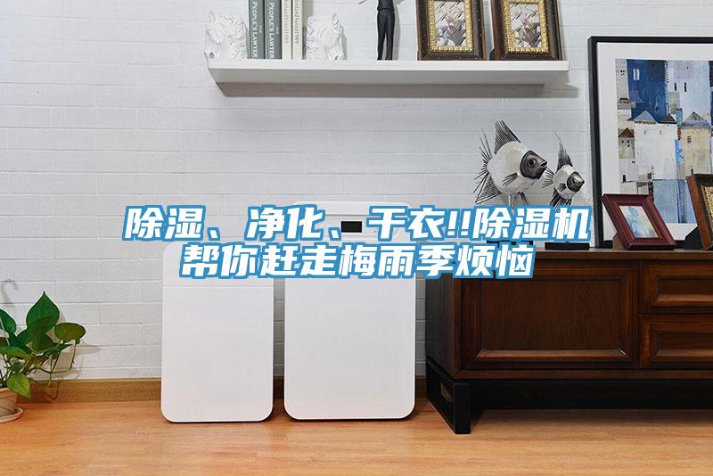 除濕、凈化、干衣!!除濕機(jī)幫你趕走梅雨季煩惱