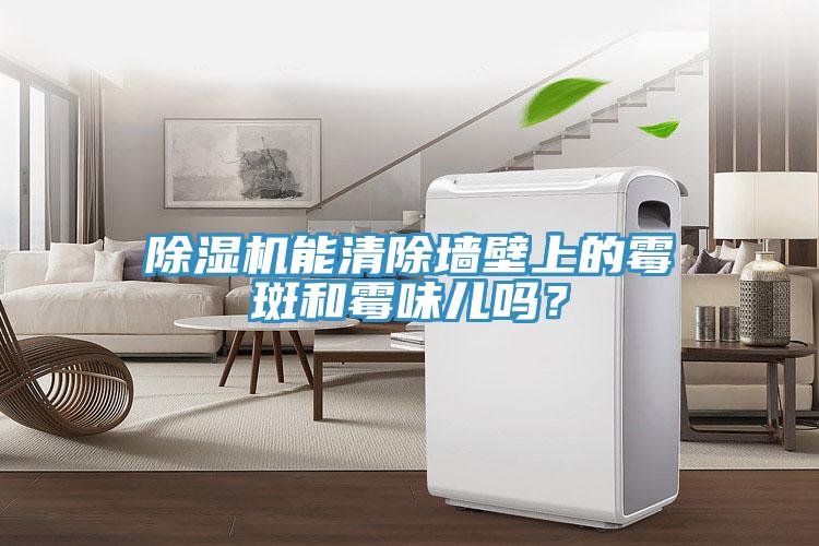 除濕機能清除墻壁上的霉斑和霉味兒嗎？