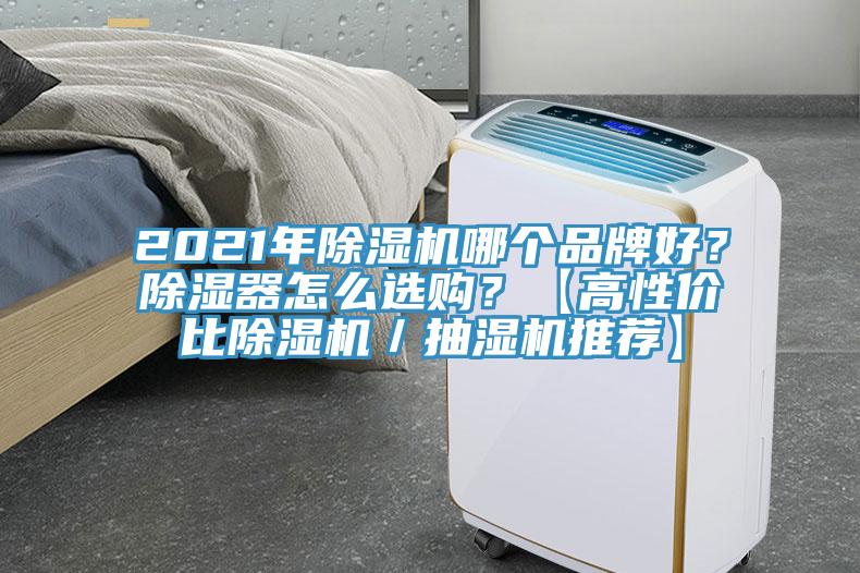 2021年除濕機哪個品牌好？除濕器怎么選購？【高性價比除濕機／抽濕機推薦】