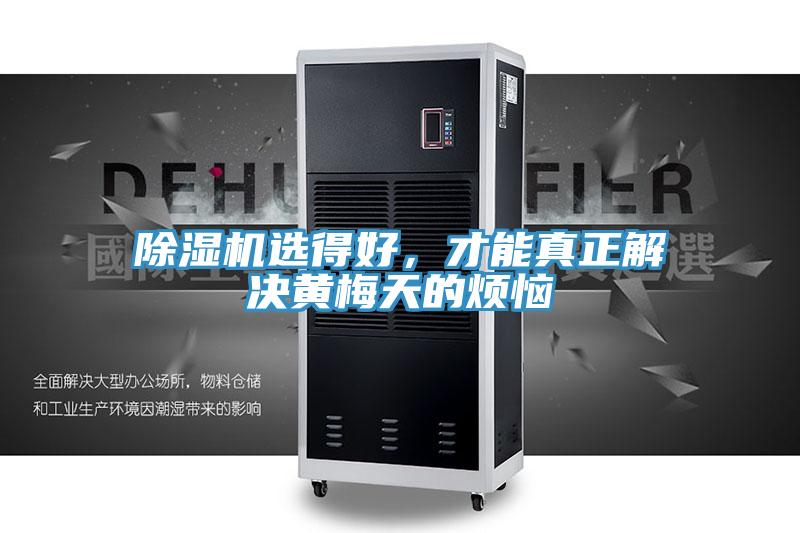除濕機(jī)選得好，才能真正解決黃梅天的煩惱