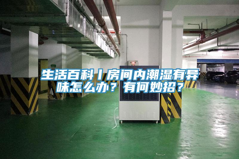 生活百科丨房間內(nèi)潮濕有異味怎么辦？有何妙招？