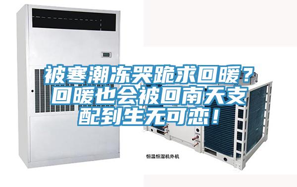 被寒潮凍哭跪求回暖？回暖也會被回南天支配到生無可戀！