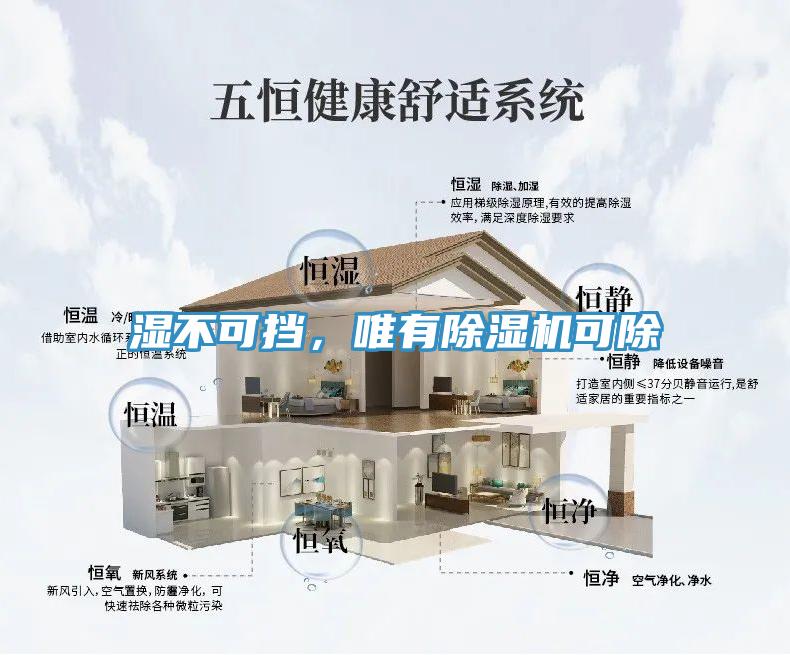 濕不可擋，唯有除濕機(jī)可除