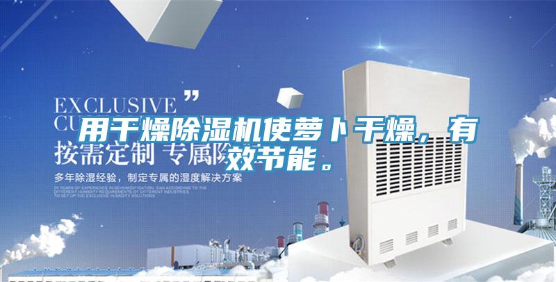 用干燥除濕機(jī)使蘿卜干燥，有效節(jié)能。