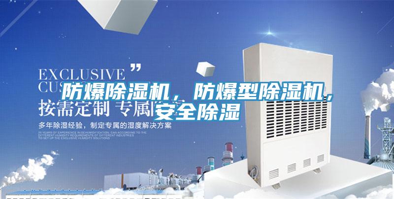 防爆除濕機(jī)，防爆型除濕機(jī)，安全除濕