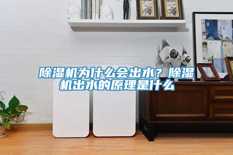 除濕機(jī)為什么會(huì)出水？除濕機(jī)出水的原理是什么
