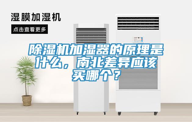 除濕機(jī)加濕器的原理是什么，南北差異應(yīng)該買哪個(gè)？