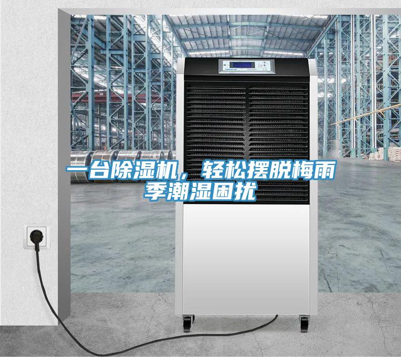一臺(tái)除濕機(jī)，輕松擺脫梅雨季潮濕困擾
