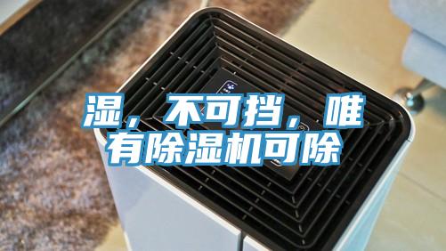 濕，不可擋，唯有除濕機(jī)可除