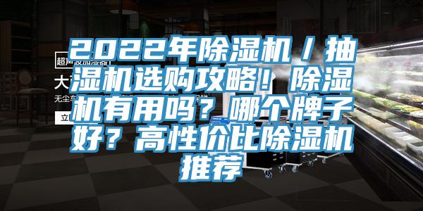 2022年除濕機(jī)／抽濕機(jī)選購攻略！除濕機(jī)有用嗎？哪個(gè)牌子好？高性價(jià)比除濕機(jī)推薦