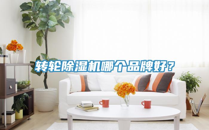 轉(zhuǎn)輪除濕機哪個品牌好？
