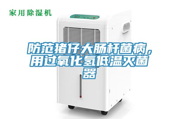 防范豬仔大腸桿菌病，用過氧化氫低溫滅菌器