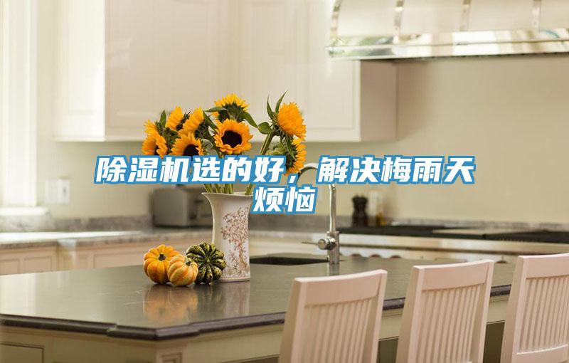除濕機(jī)選的好，解決梅雨天煩惱