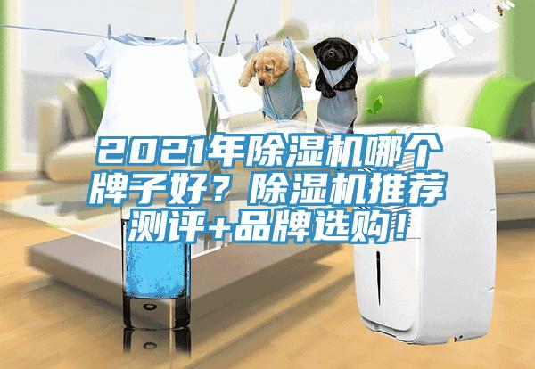 2021年除濕機哪個牌子好？除濕機推薦測評+品牌選購！