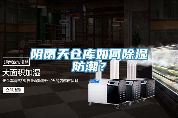 陰雨天倉庫如何除濕防潮？