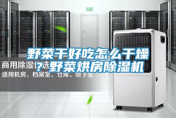 野菜干好吃怎么干燥？野菜烘房除濕機(jī)