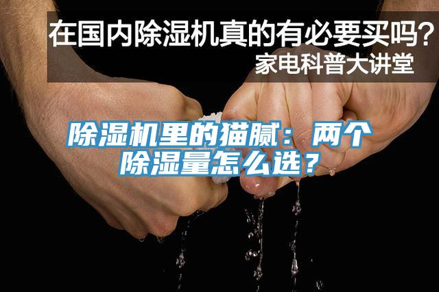 除濕機里的貓膩：兩個除濕量怎么選？
