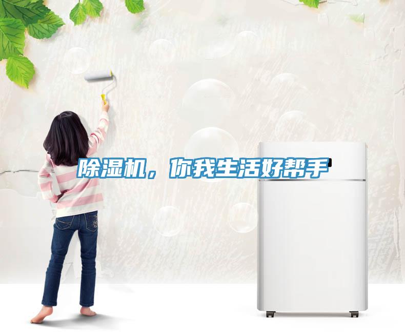 除濕機，你我生活好幫手
