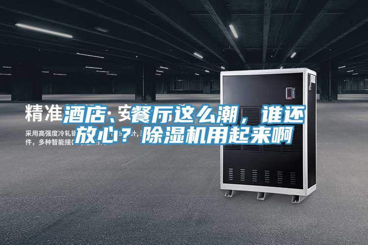酒店、餐廳這么潮，誰(shuí)還放心？除濕機(jī)用起來(lái)啊
