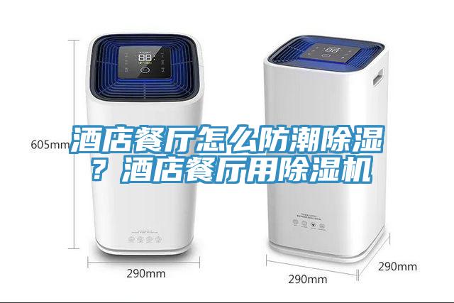酒店餐廳怎么防潮除濕？酒店餐廳用除濕機(jī)