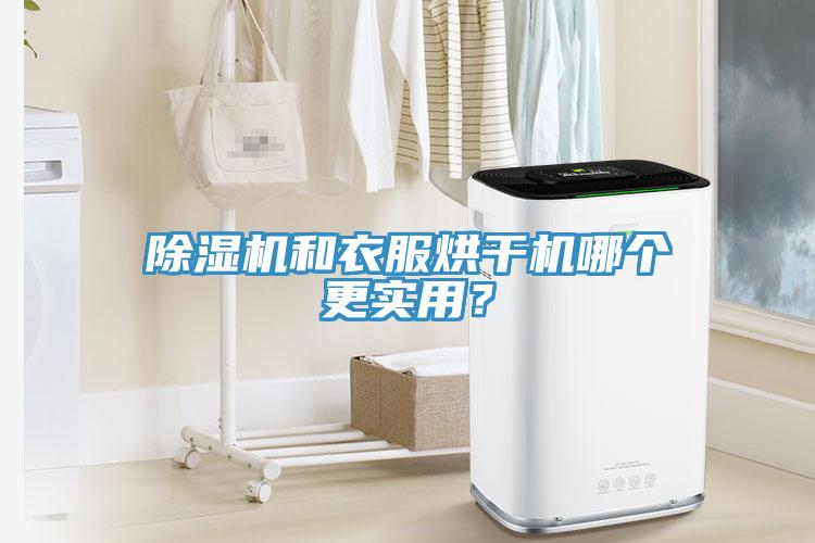 除濕機(jī)和衣服烘干機(jī)哪個更實(shí)用？