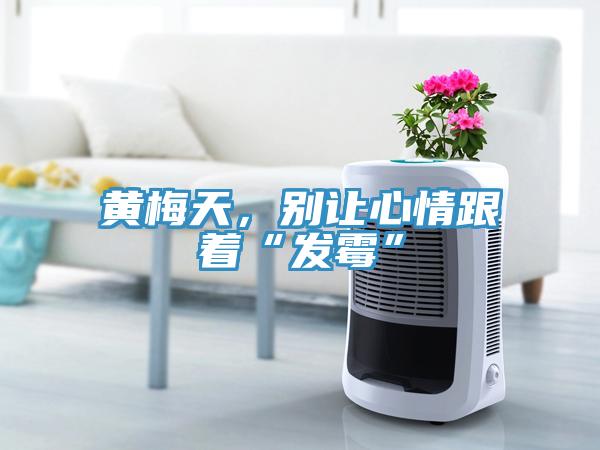 黃梅天，別讓心情跟著“發(fā)霉”