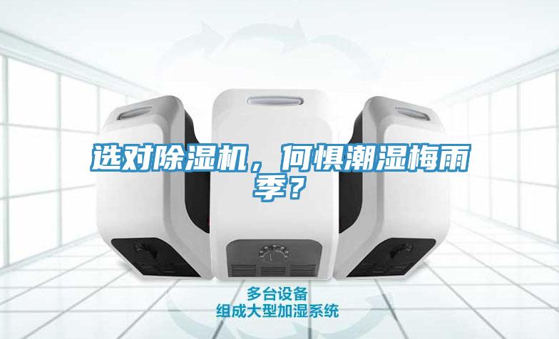 選對除濕機，何懼潮濕梅雨季？