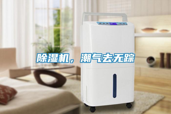 除濕機(jī)，潮氣去無(wú)蹤